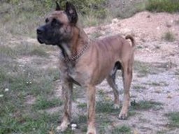 curro_20211130_1521595127